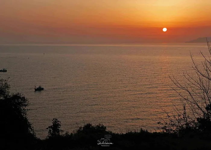 Al Son De Olas ラストレス
